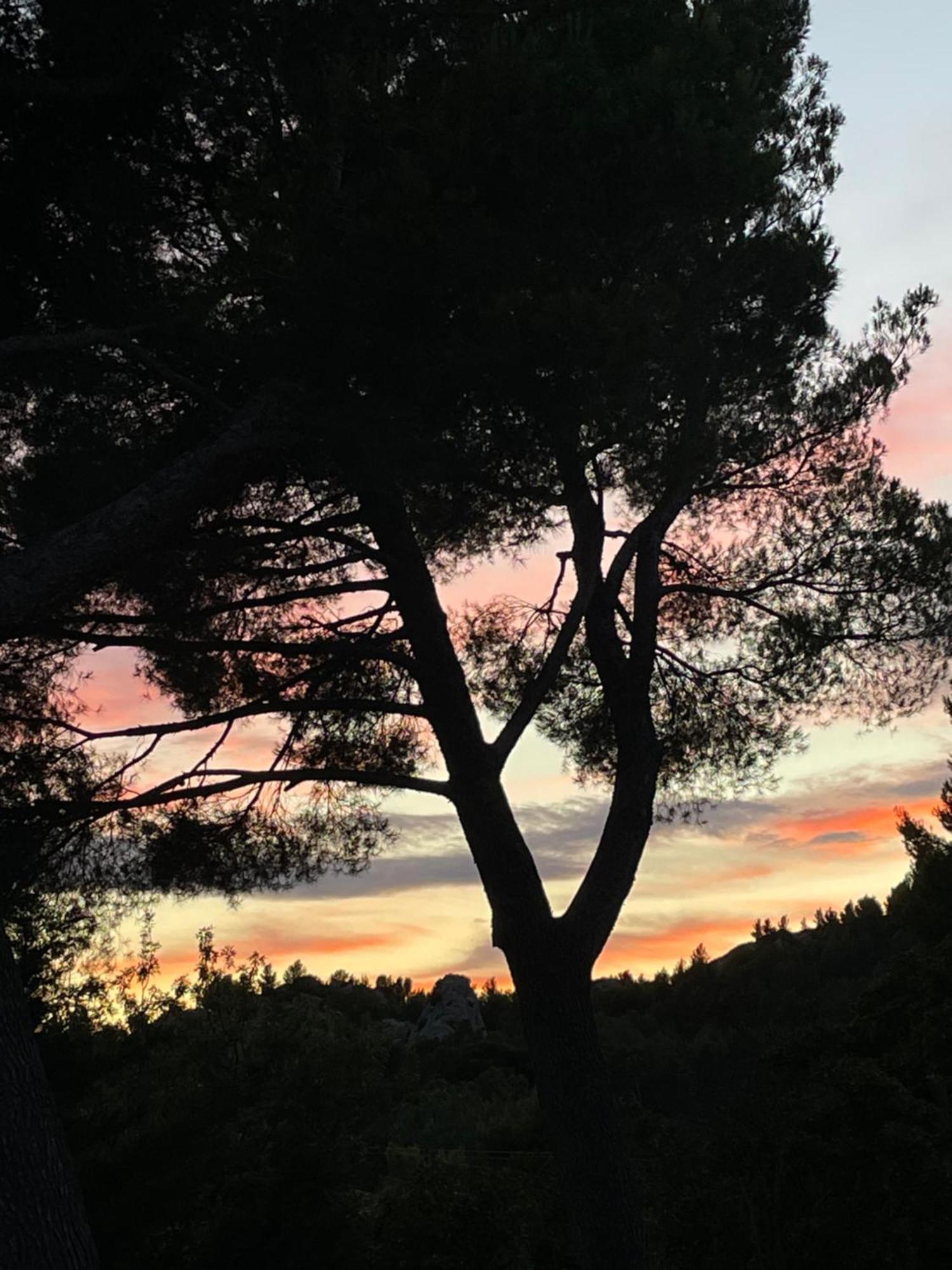 Le Mas Angelou Maussane-les-Alpilles Exterior photo